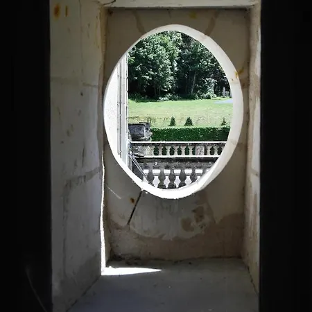 Chateau De Jalesnes Appart hôtel Vernantes
